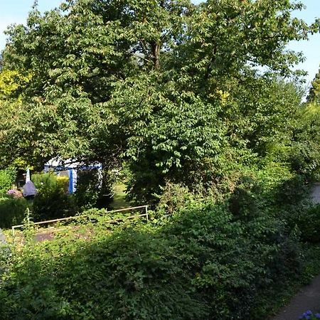 4 Sterne Ferienwohnungen Lavendel Brueggen Bruggen  Exterior foto